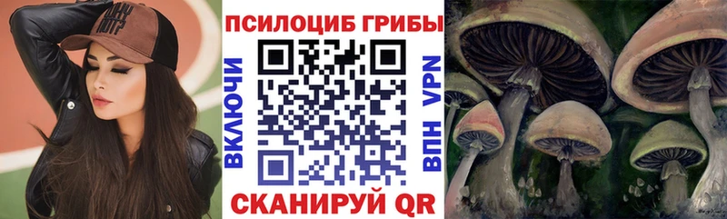 mega ONION  Дедовск  Псилоцибиновые грибы MAGIC MUSHROOMS  наркошоп 